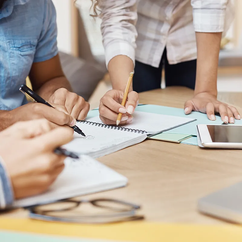 Image hover effect image